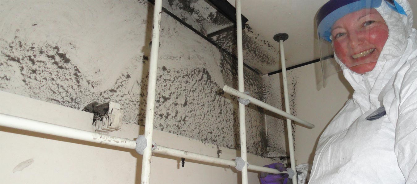 Commercial Mold Remediation & Removal